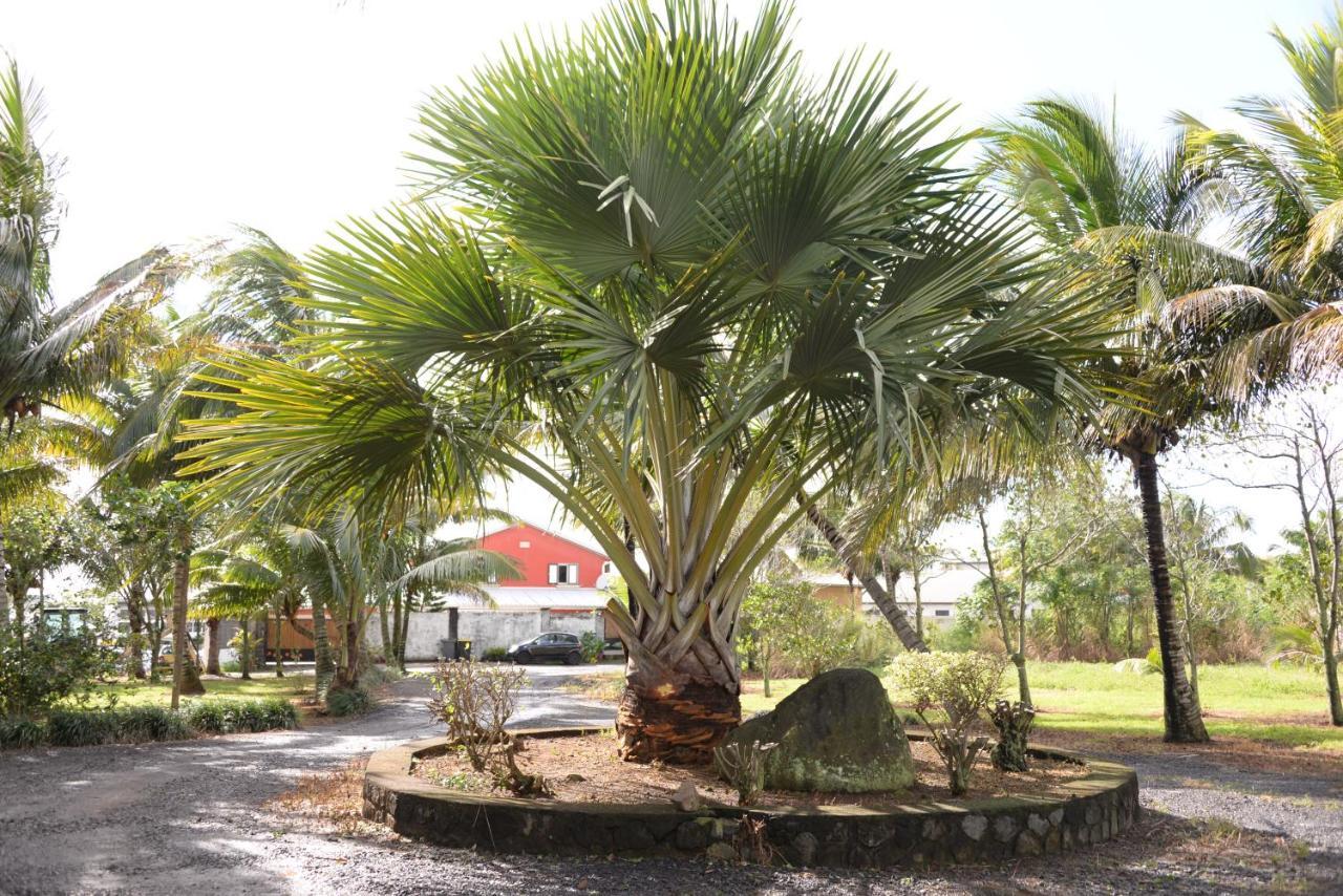 Bed and Breakfast Domaine Des Oiseaux Reunion Saint-André Exterior foto