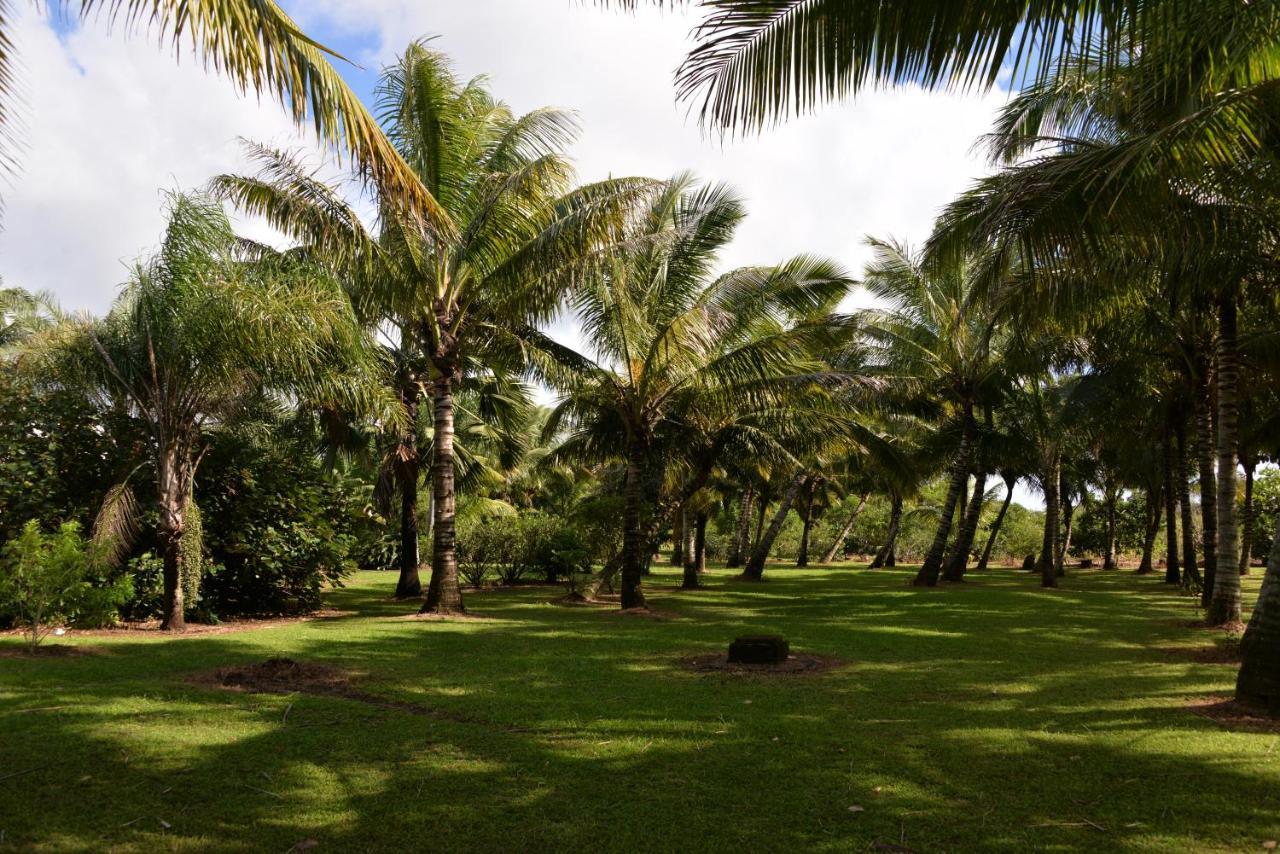 Bed and Breakfast Domaine Des Oiseaux Reunion Saint-André Exterior foto